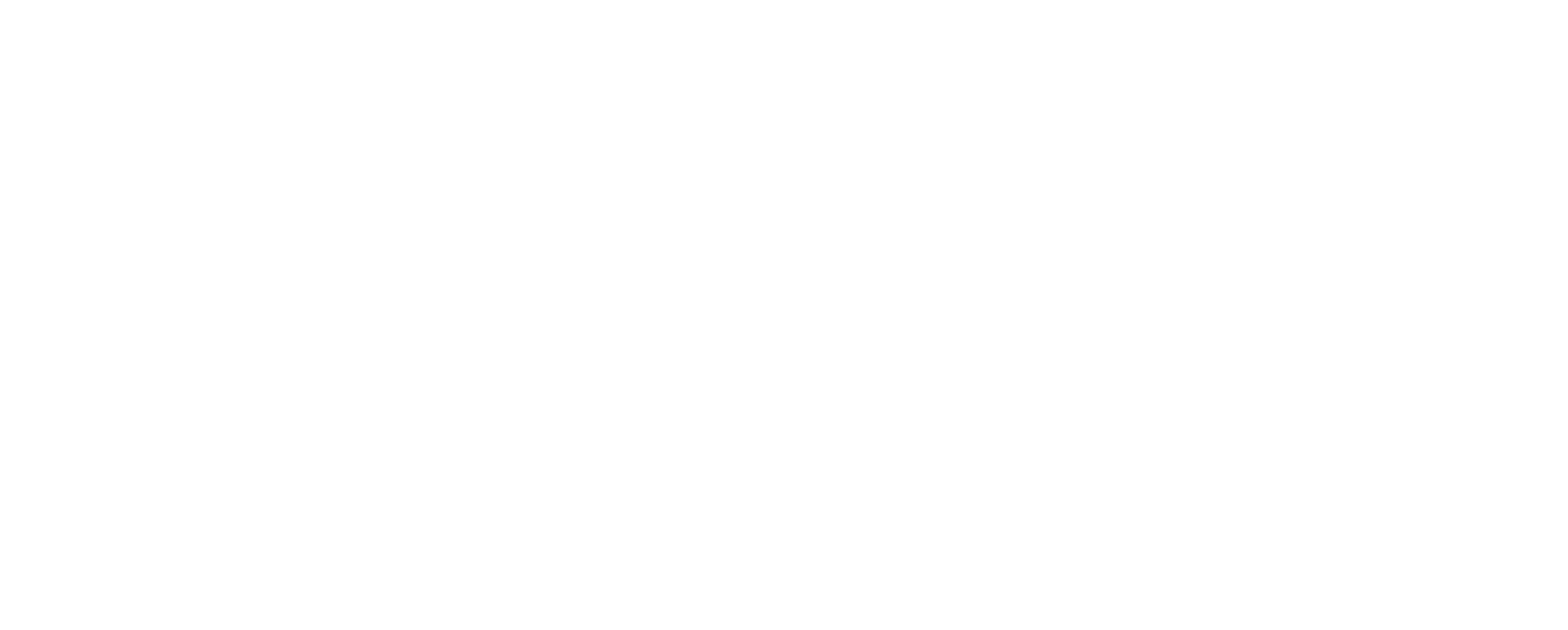brandshit-logo-white